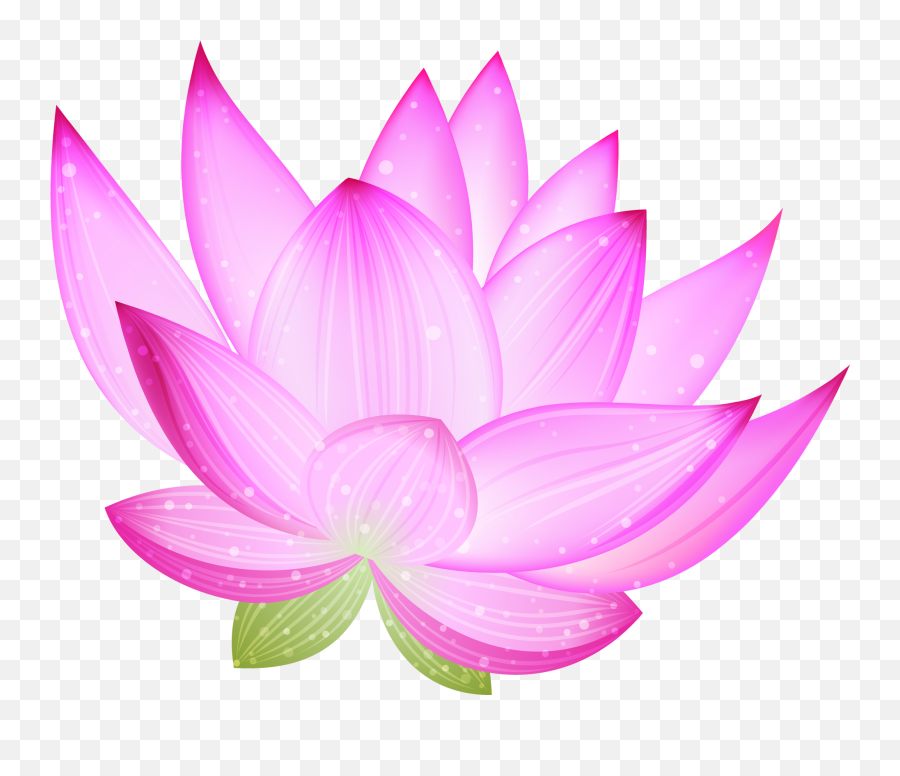 Download Large Pink Lotus Png Clipart - Clip Art Full Size Blog,Lotus Png