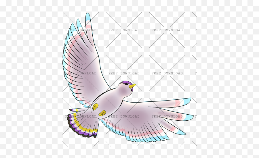 Dove Bird Png Image With Transparent Background - Photo 514,Dove Transparent Background