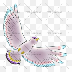 Dove Bird Png Image With Transparent Background - Photo 514