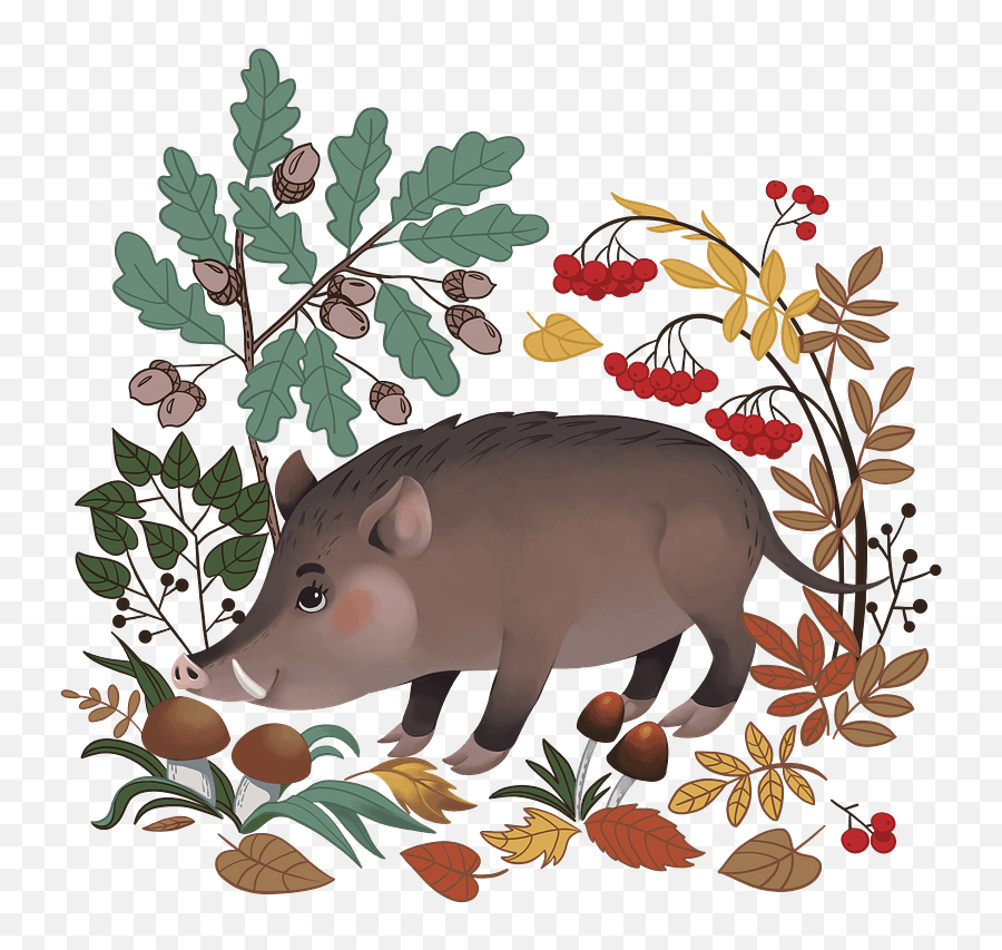 Clipart - Illustration Png,Forest Clipart Png
