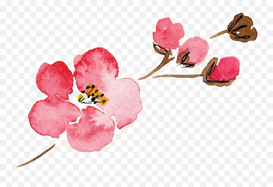 Download Luella Acres Flower Only - Pink Watercolor Flowers Png,Single Flower Png