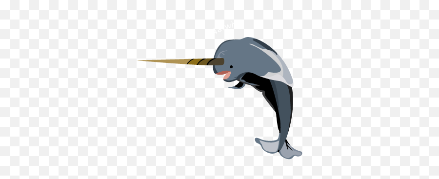 Index Of Academicsar264spring2015dsullivaproject3 - Seabird Png,Narwhal Png