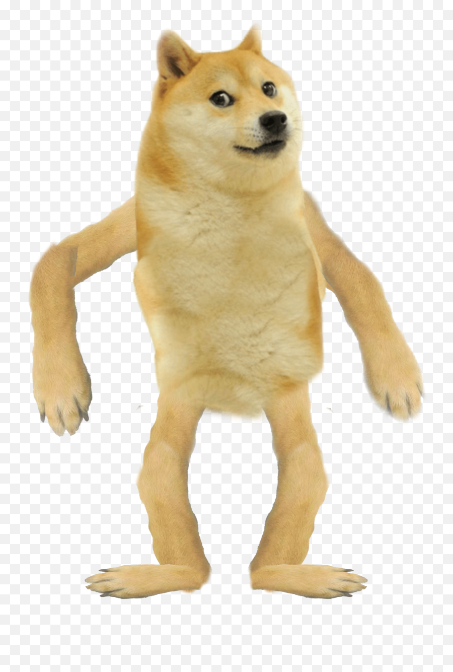 Abomination - Dogelore Pngs,Doge Png