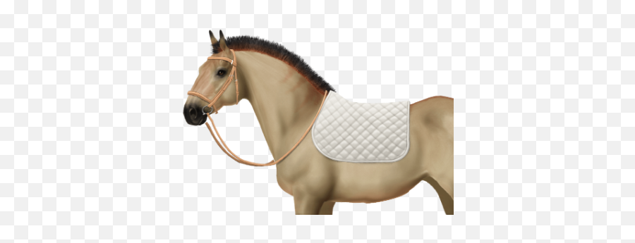 James Charles U2022 Horse World Online - James Charles As A Horse Png,James Charles Png