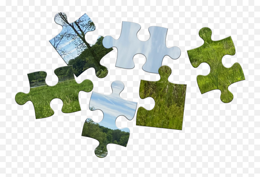 Your Piece Of The Puzzle Madison Audubon - Jigsaw Puzzle Png,Jigsaw Png