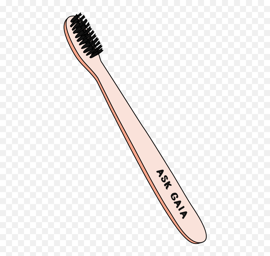 Ask Gaia About Bamboo Toothbrushes - Toothbrush Png,Toothbrush Transparent