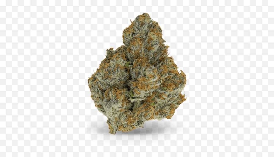 Dr Cbd - Blue Dream Weed Strain Png,Weed Nugget Png