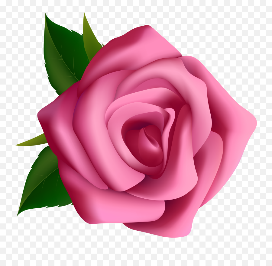Pink Rose Clipart - Pink Rose Clipart Png,Pink Rose Transparent