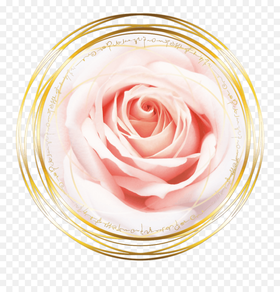 Magdalena Of The Rose Red Transmission - The Rose Lineage Girly Png,Rose Quartz Icon