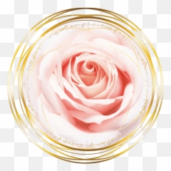 Magdalena Of The Rose Red Transmission - The Rose Lineage Girly Png,Rose Quartz Icon