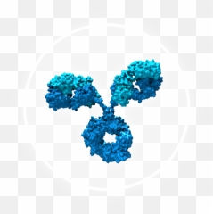 Amgen Oncology Pipeline - Dot png