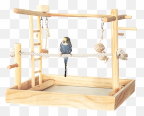 Cockatiel Bird Care Sheet - Playground For Birds Png,Cockatiel Icon