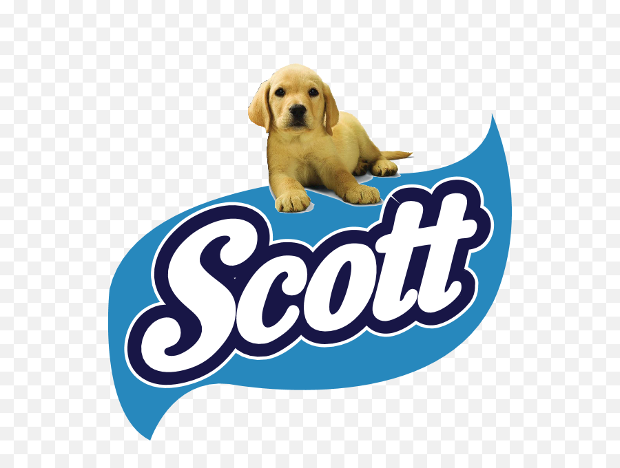 Scott Omr Logo Download - Logo Icon Png Svg Logo Scott Papel Higienico,Scott Icon