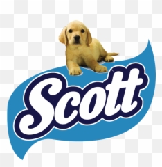 Scott Omr Logo Download - icon png svg Papel Higienico