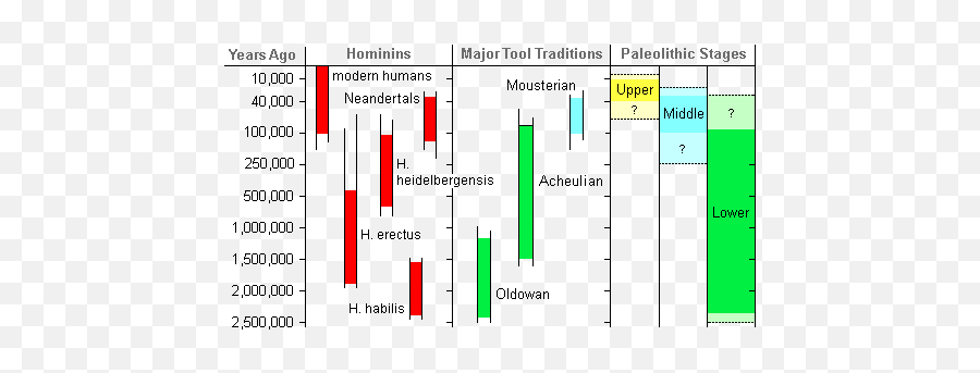 Evolution Of Modern Humans Archaic Human Culture - Tool Culture Png,Cultural Icon Examples