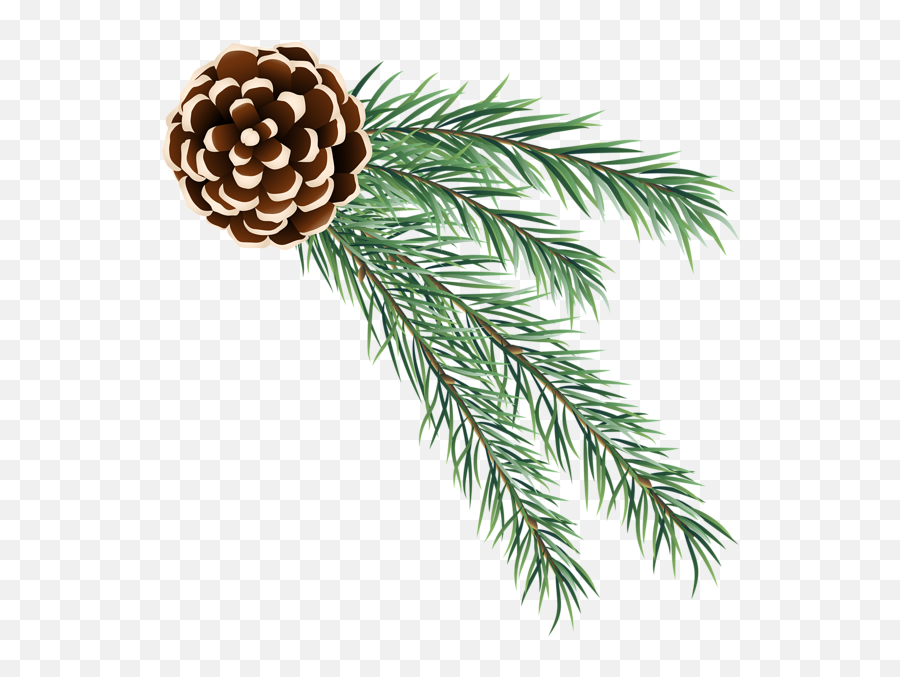 Picture - Christmas Pine Cone Png,Greenery Png