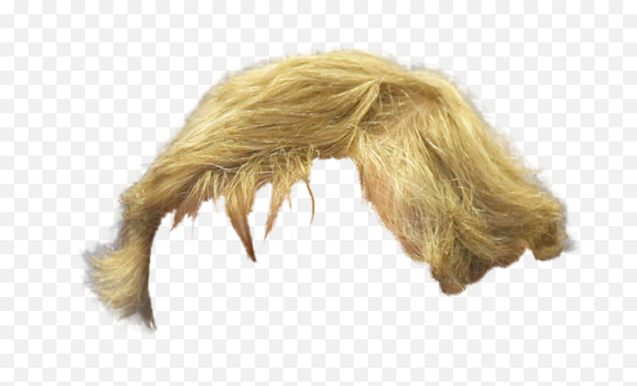 Download Blonde Hair Png Man Image - Male Blonde Wig Png,Men Hair Png