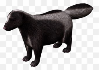 Pc Computer - The Sims 2 Stinky Skunk Models Resource Pet png