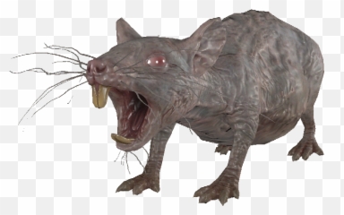 Rad - Rat Pup The Vault Fallout Wiki Everything You Need Cat Yawns Png,Rats Png