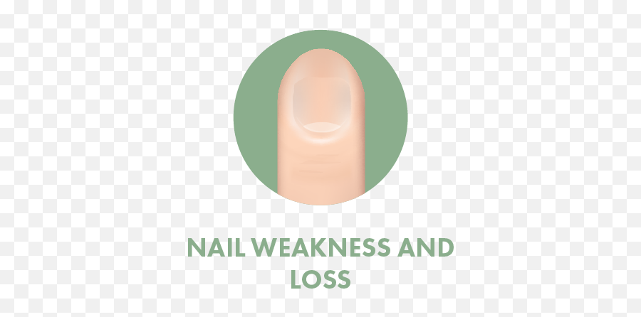 Nail Symptoms U2014 Hope U0026 Beauty Chemotherapy Companion Products - Computer Science Png,Nails Png