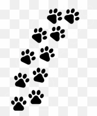 4570book Cat Footprint Clipart Downloads In Pack 6515 - Desenho Patinhas De Cachorro Png,Foot Print Png
