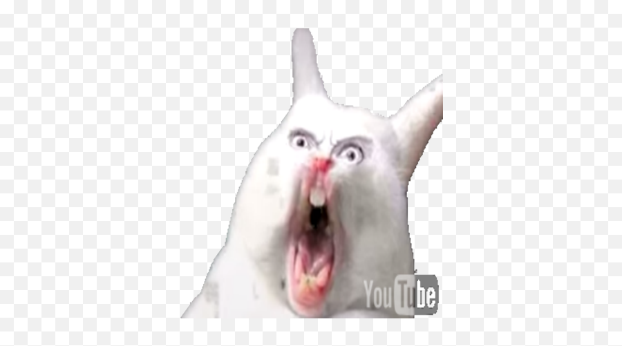 Screaming Cat Png 4 Image - Rabbit Screaming,Screaming Png