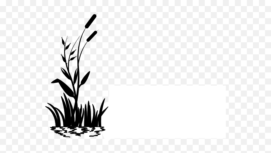 Swamp Vector Cat Tail Plant Transparent U0026 Png Clipart Free - Transparent Background Grass Clipart,Cat Tail Png