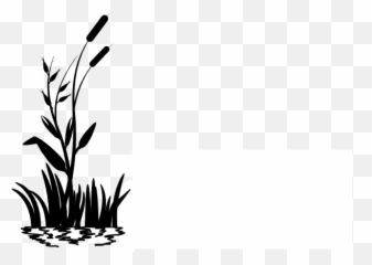 Swamp Vector Cat Tail Plant Transparent U0026 Png Clipart Free - Background Grass