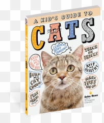 A Kidu0027s Guide To Cats - Domestic png