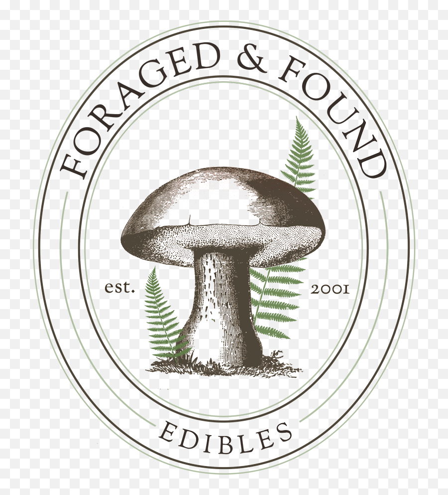Organic King Oyster Mushroom U2014 Foraged U0026 Found Edibles - Dry Mushrooms Logo Png,Mushroom Logo