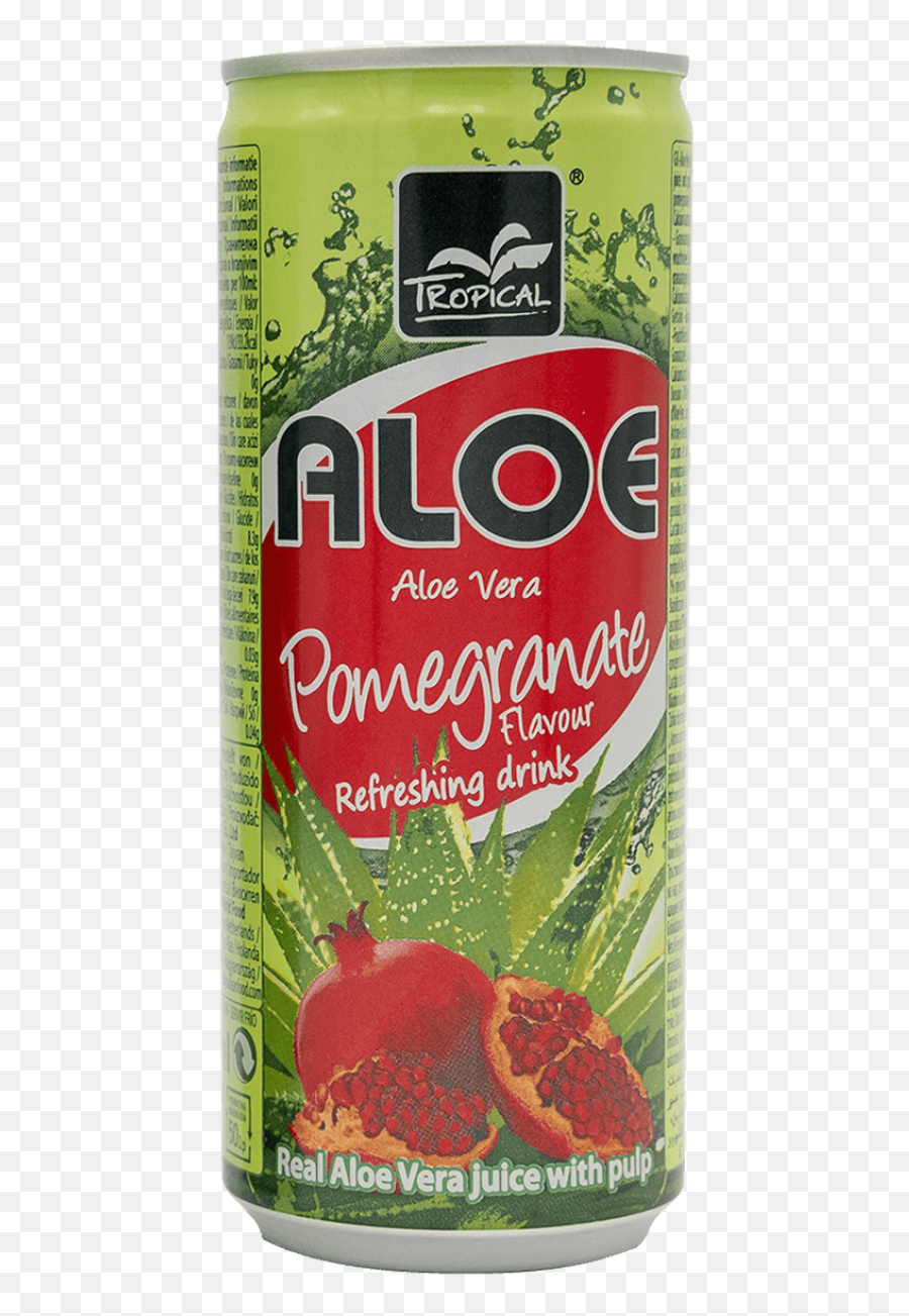 Our Products Global Food Trade - Tropical Aloe Vera Pomegranate Png,Pomegranate Png