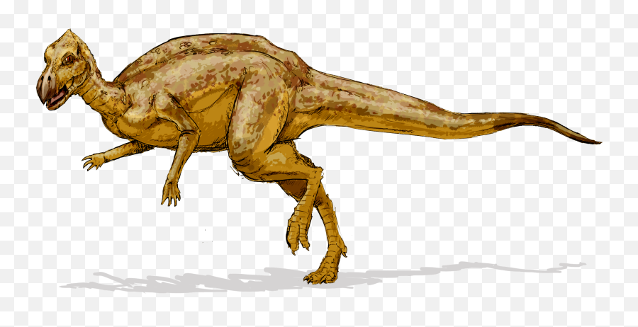 Filezalmoxes Dinosaurpng - Wikimedia Commons Zalmoxes Dinosaur,Dinosaurs Png