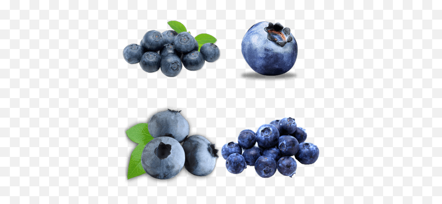Blueberries Transparent Png Images - Blueberries Transparent,Blueberry Transparent Background