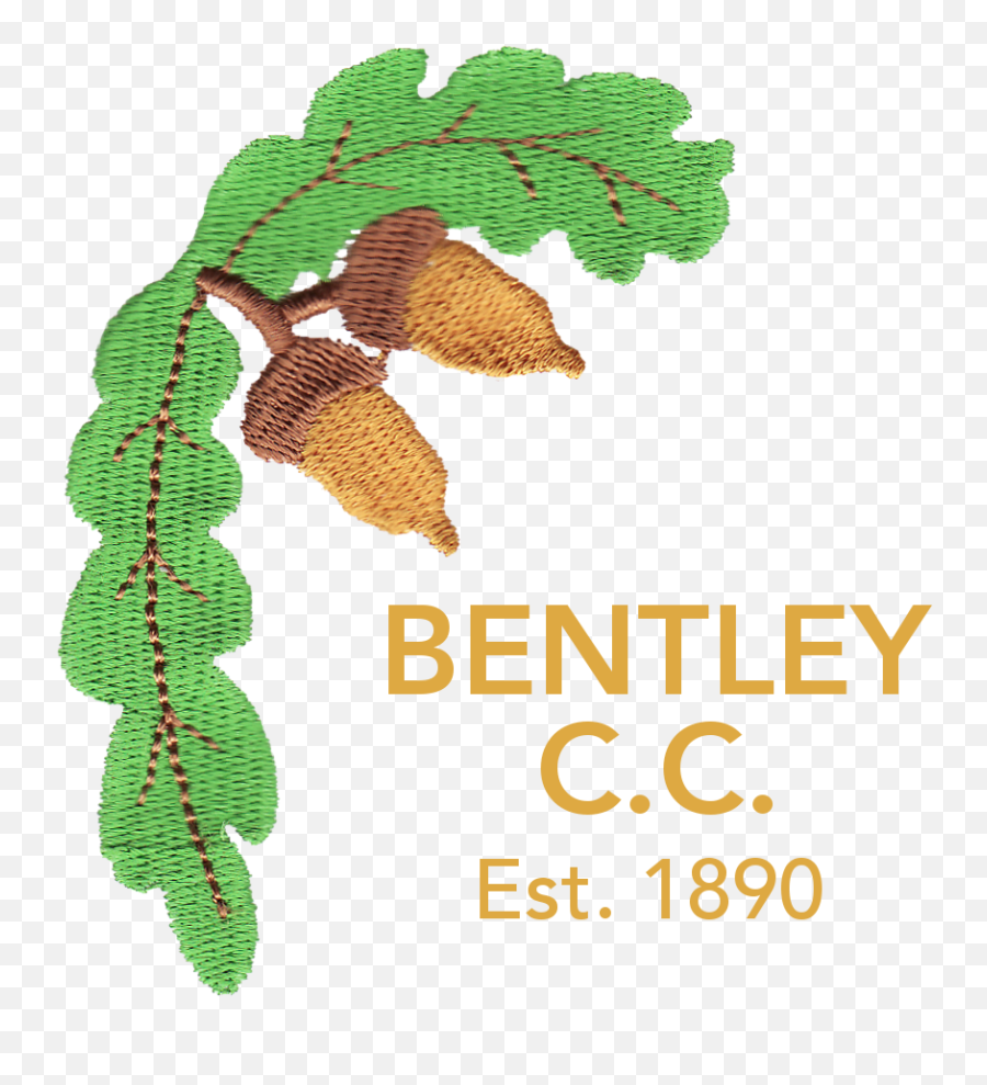 Bentley Cricket Club - Center For Enriched Living Png,Bently Logo