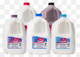 Milk Carton Clipart Gallon - Product Full Size Leche En Botella De Plastico png