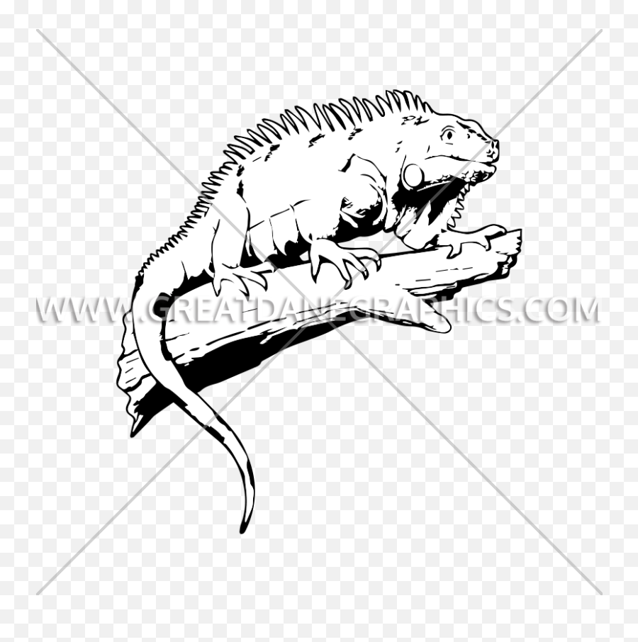 Colorful Iguana Production Ready Artwork For T - Shirt Printing Green Iguana Png,Iguana Transparent Background