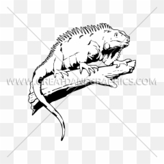 Colorful Iguana Production Ready Artwork For T - Shirt Printing Green png