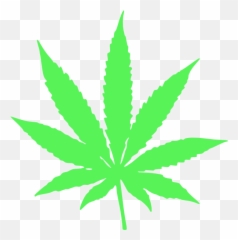 Green Hemp Leaf Png Clip Arts For Web - Marijuana