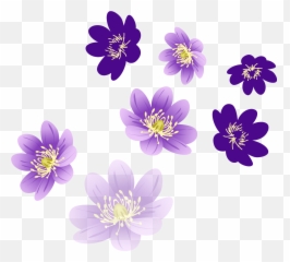 Flowers Png My Blog - Vector Images Of Flowers