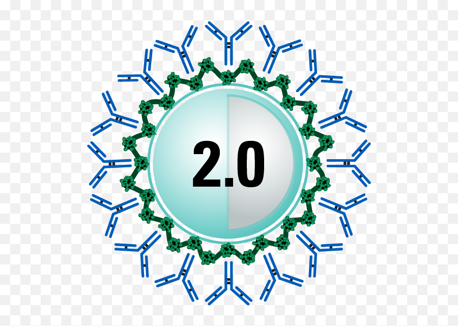 Exosome Detection Products System Biosciences - Red Zig Zag Circle Png,Antibody Png