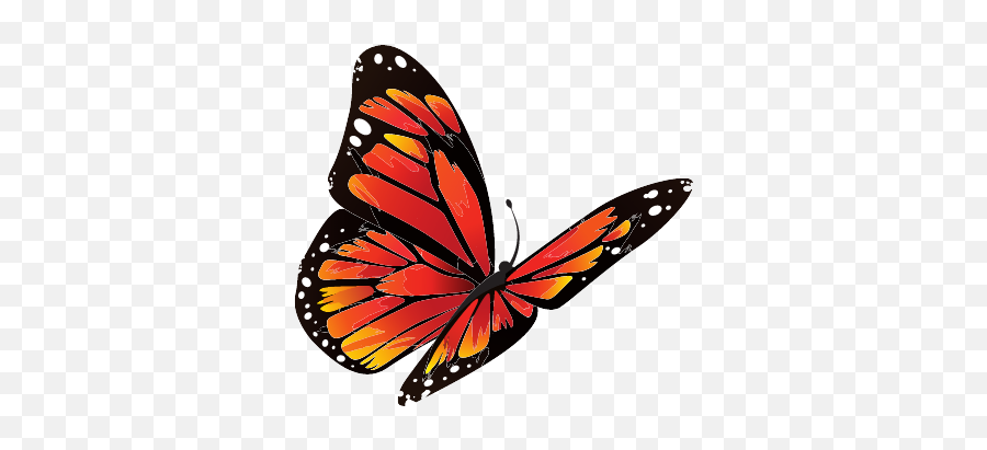 Pin - Fly High Butterfly Png,Butterfly Transparent Png
