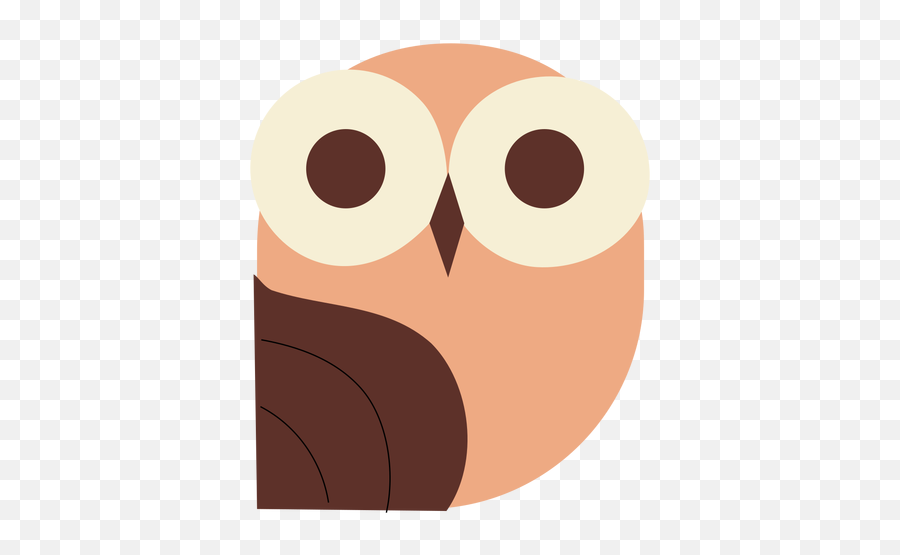 Big Eyes Owl Flat - Transparent Png U0026 Svg Vector File Olhos De Coruja Png,Big Eyes Png