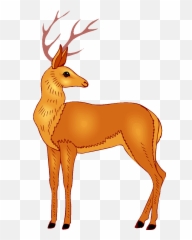 11 Clip Art Deer - Preview Clipart HDClipartAll Png