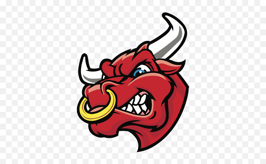 Vector Art - Angry Bull Logo Png 570x484 Png Clipart Karingal Bulls,Bull Icon Png