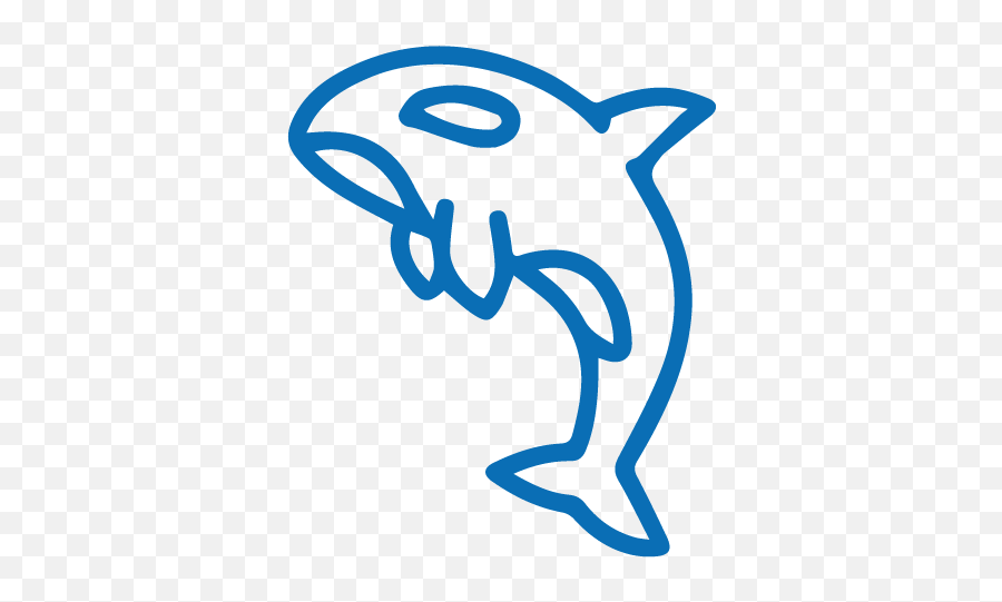 Protecting Our Coasts Oceans Protection Plan - Common Bottlenose Dolphin Png,Dolphin Browser Icon Png
