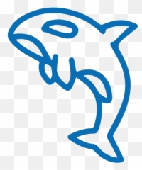 Protecting Our Coasts Oceans Protection Plan - Common Bottlenose Dolphin png