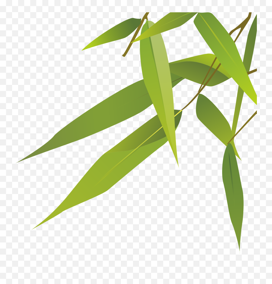 Bamboo Leaves Transparent Png Clipart - Bamboo Leaves Png,Bamboo Leaves Png