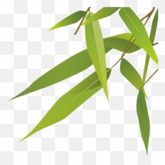 Bamboo Leaves Transparent Png Clipart
