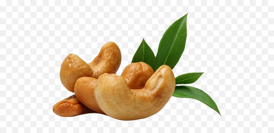 Cashew Png Images Free Download - Cashew Png,Cashew Png