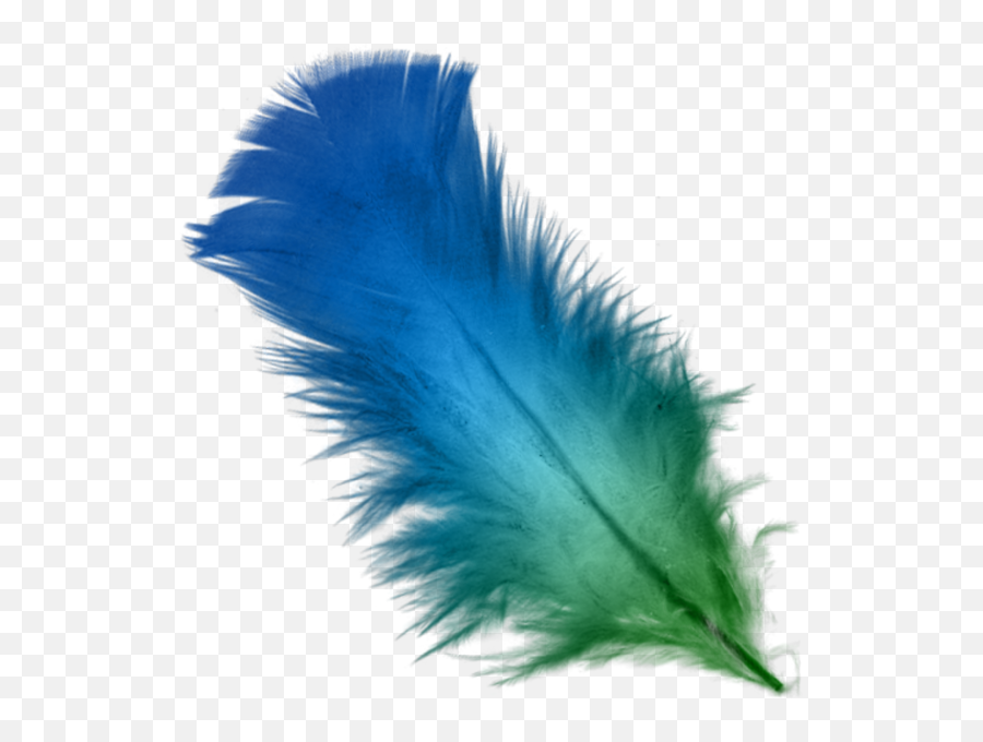 Blue Feather Transparent Png Clipart - Feathers Png,Feather Transparent Background